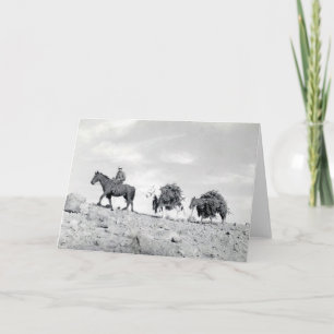 Embalar hacia fuera los árboles de navidad