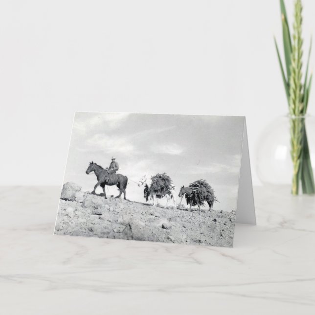 Embalar hacia fuera los árboles de navidad (Anverso)