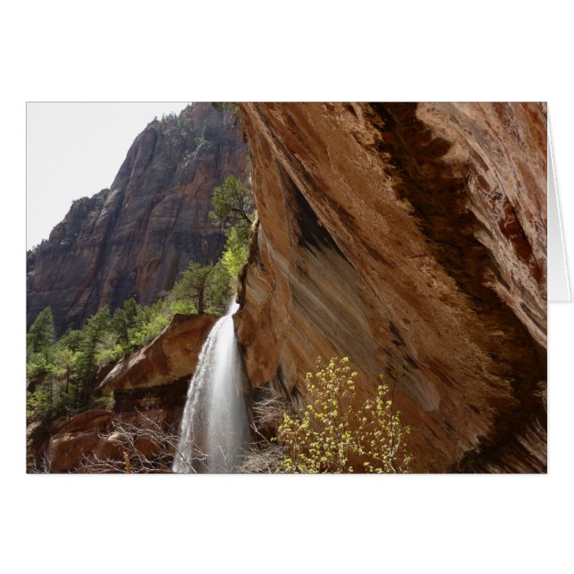 Emerald Pool Falls III del Parque Nacional Zion (Anverso (Horizontal))