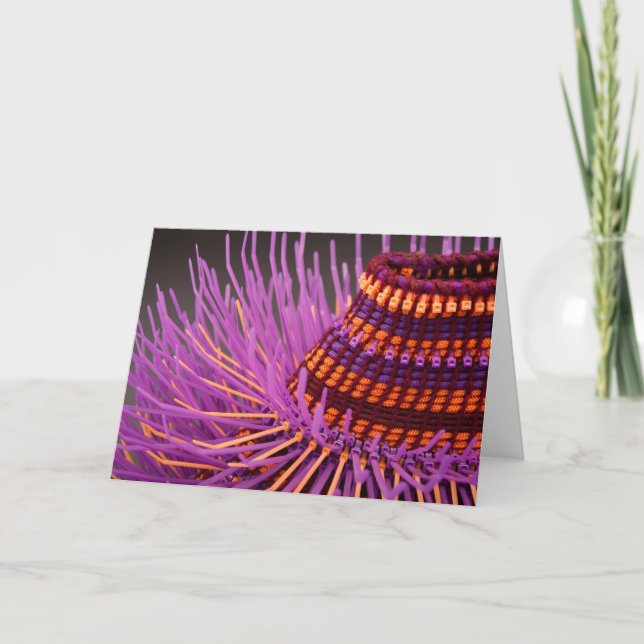 Emily Dvorin, PERFELICIDAD; Foto de Dana Spaeth (Anverso)