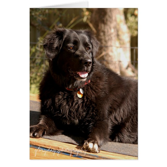 Emma, glorydaysphotografía (Frente)