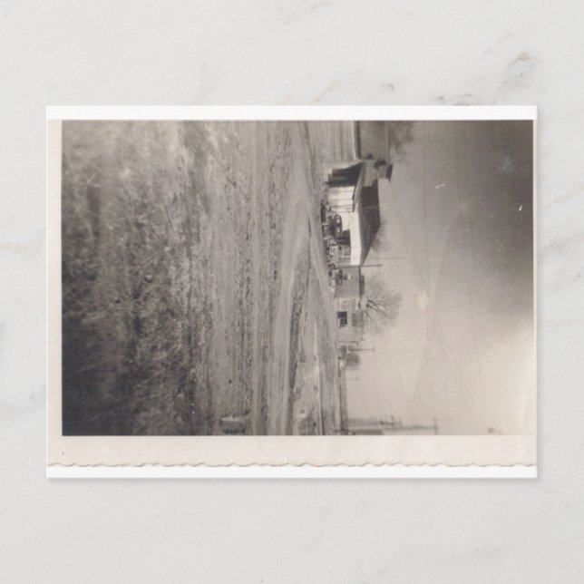 Empresas en la postal de Pine Street (Anverso)