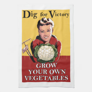 Empuje del vintage para la toalla de cocina de la