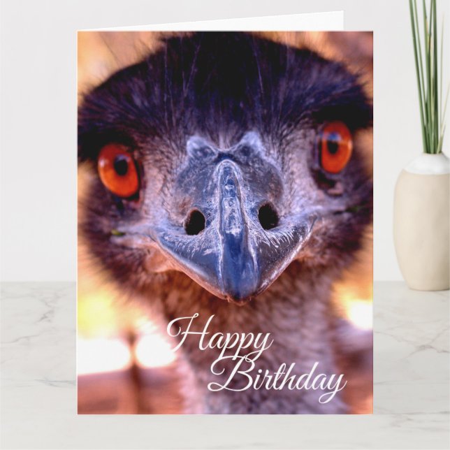 Emu muy grande del viejo hombre de la tarjeta del (Anverso)