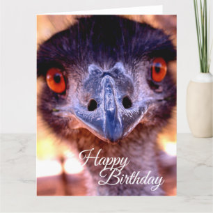 Emu muy grande del viejo hombre de la tarjeta del