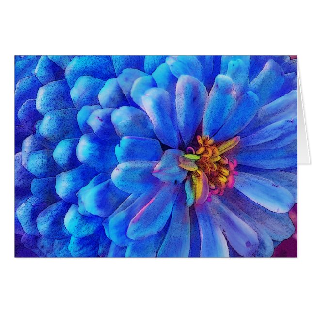 En azul, la tarjeta del Zinnia, florece (Anverso (Horizontal))