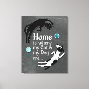 En casa mi gato y mi perro son lienzos comunes