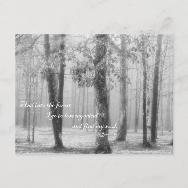 En el bosque voy - postal (Anverso)