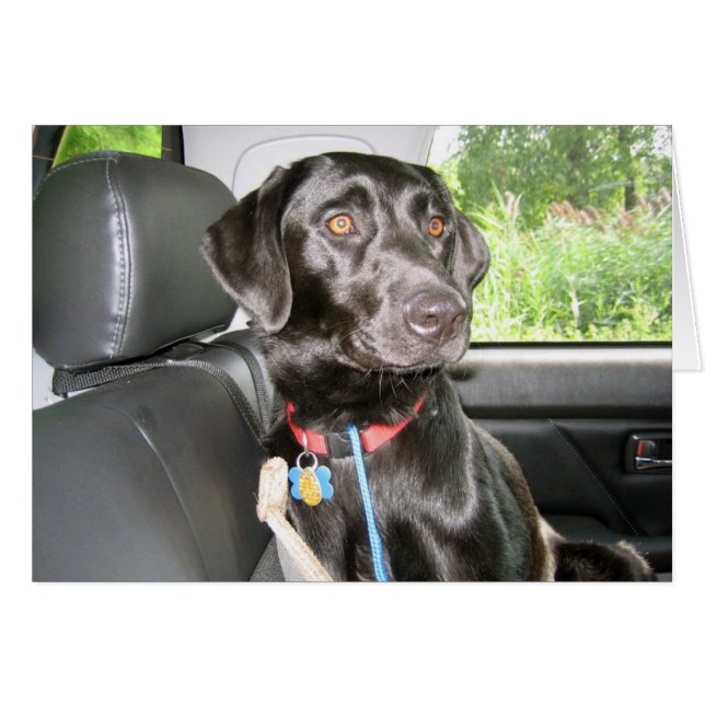 En el camino otra vez (Anverso (Horizontal))