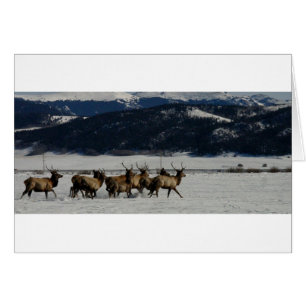 En el funcionamiento