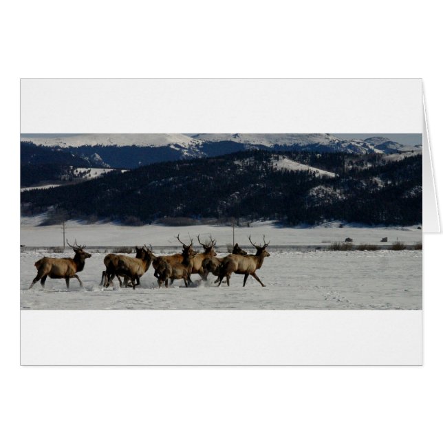 En el funcionamiento (Anverso (Horizontal))