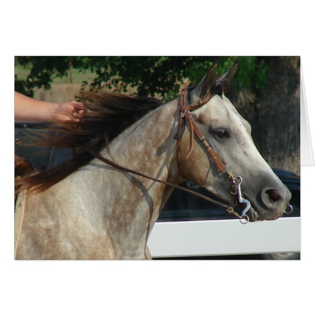 En el Horse Show (Anverso (Horizontal))