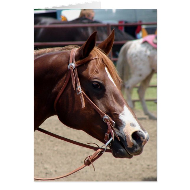 En el Horse Show (Frente)