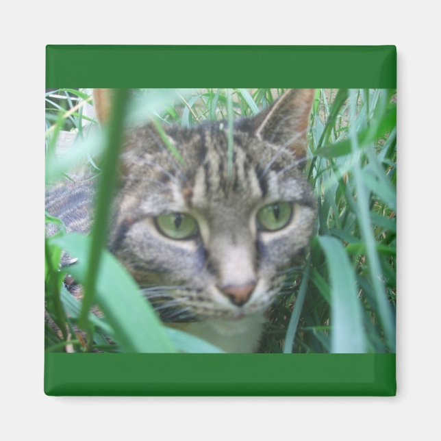 En el imán de la caza del gato (Frente)