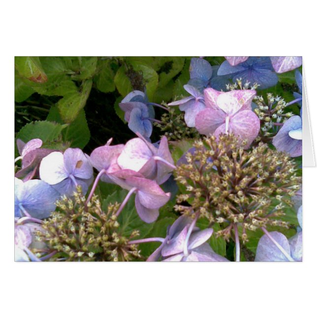 En el jardín (Anverso (Horizontal))