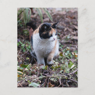 En el jardín - Postal