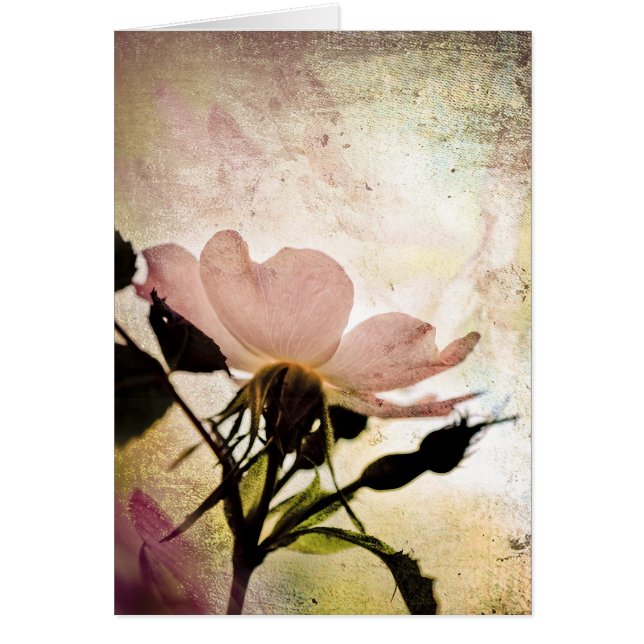 En el místico (Frente)