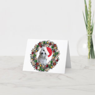 En el navidad - Bichon Frise