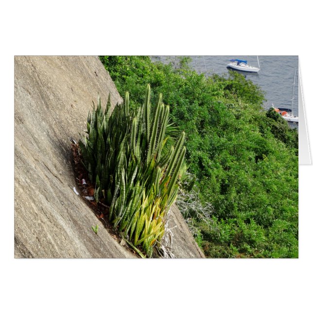 En el Pan de Azúcar (Anverso (Horizontal))