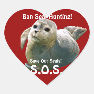En Forma De Corazón BABY SEAL Anti Seal-Hunt Wildlife Pegatina