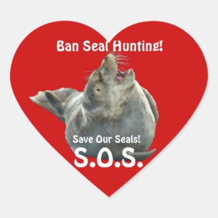 En Forma De Corazón BABY SEAL Anti Seal-Hunt Wildlife Pegatina