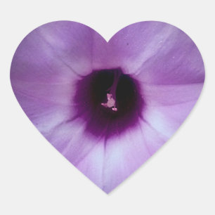 En Forma De Corazón Bloom Donde Plantó Pegatina
