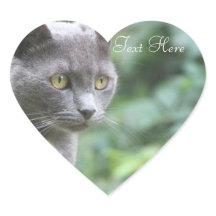 Gray Kitty Heart Pegatina