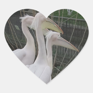 En Forma De Corazón Herons Heart Pegatina