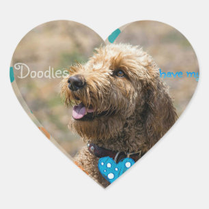 En Forma De Corazón Labradoodles tiene mi pegatina del ❤