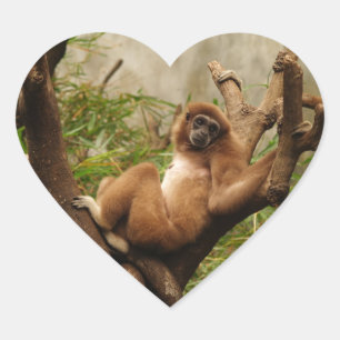 En Forma De Corazón Monkey Heart Pegatina