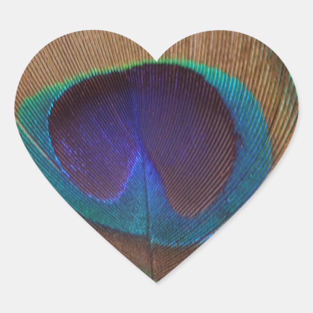 En Forma De Corazón Nice Feather Heart Pegatina (Anverso)