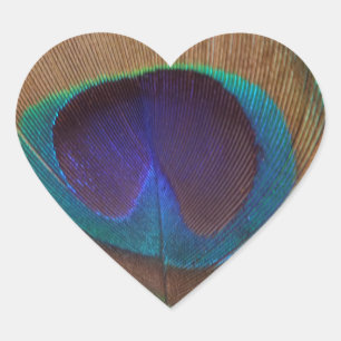 En Forma De Corazón Nice Feather Heart Pegatina