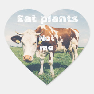 En Forma De Corazón Pegatina cardíaco sin crueldad para vegetariano y 