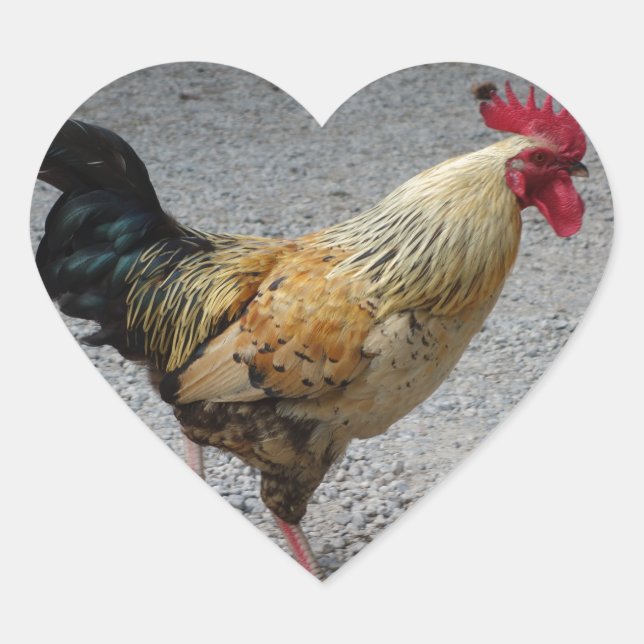 En Forma De Corazón Rooster Heart Pegatina (Anverso)