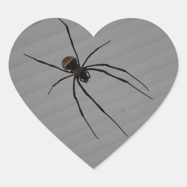 En Forma De Corazón Spider Heart Pegatina (Anverso)