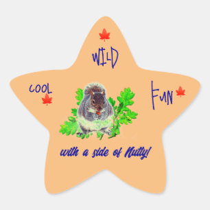 En Forma De Estrella Guay Wild Fun Pegatina