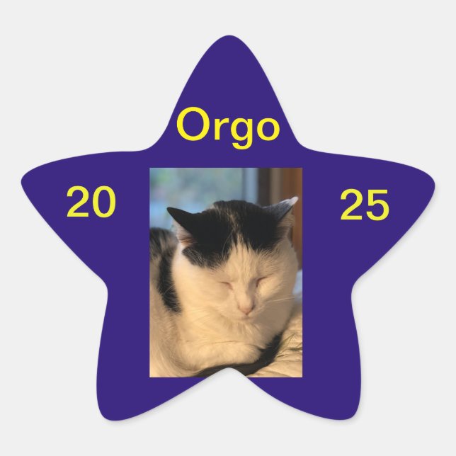 En Forma De Estrella Lenny Pegatina (Anverso)