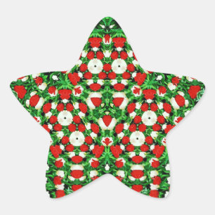 En Forma De Estrella Pegatina