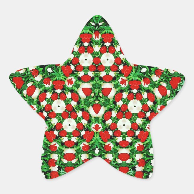 En Forma De Estrella Pegatina (Anverso)