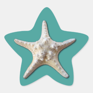 En Forma De Estrella Pegatina Starfish