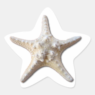 En Forma De Estrella Pegatina Starfish - blanco