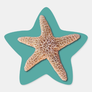 En Forma De Estrella Pegatina Starfish - Turquesa