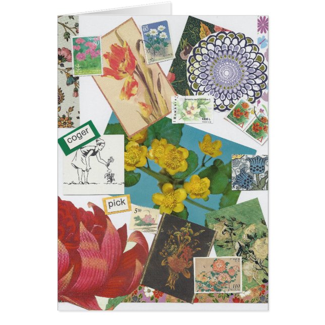 En la floración (Frente)