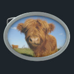 En la hebilla del cinturón de la vaca de la cara<br><div class="desc">Añade algo de color y carácter a tu estilo con uno de nuestros increíbles diseños de hebilla de cinturón!</div>