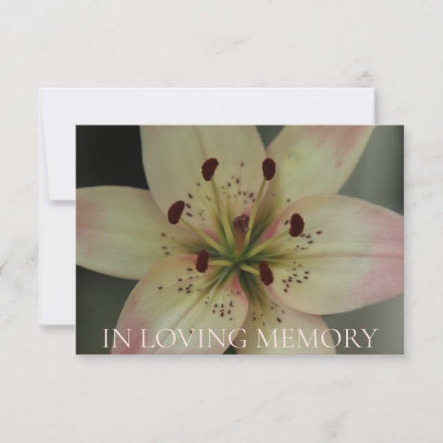 En la invitación del servicio de memoria amorosa (Anverso)