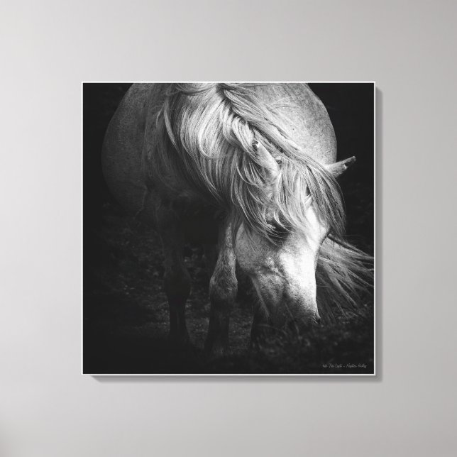 En la luz - Dartmoor Pony, arte fino (Anverso)