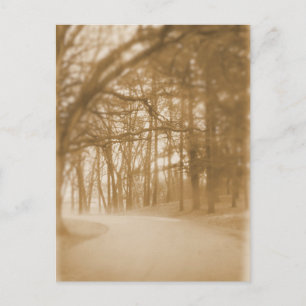 En la niebla - postal