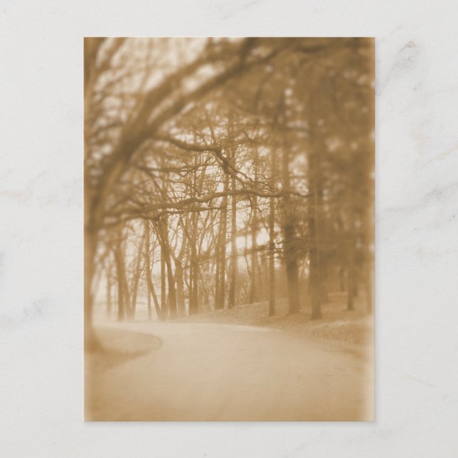 En la niebla - postal (Anverso)