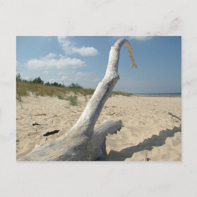 En la playa - Postal (Anverso)