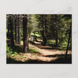 En la postal de los pinos - caminando cerca del